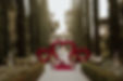 IMG_5819.jpeg