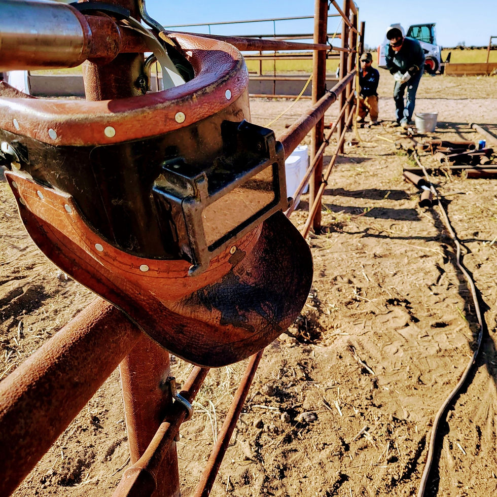 470243090_502266262866139_6734132849151647049_n