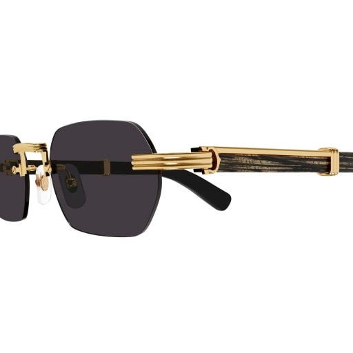 Miniaturbild: Cartier-CT0362S-001