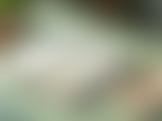 The Art of Medical Writing: How Healthcare Professionals Can Bridge the Gap Between Science and Patients