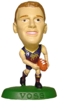 AFL02 Voss Figure.gif