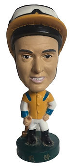 HKJC Dye Figure Front.jpg