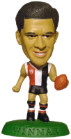 AFL43 Winmar Figure.gif