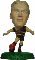 AFL01 Modra Figure.gif