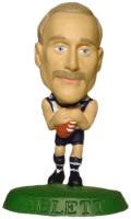 AFL12 Ablett Figure.gif
