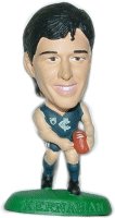 AFL32 Kernahan Figure.gif