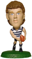 AFL13 Hocking Figure.gif