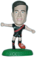 AFL09 O'Donnell Figure.gif