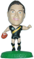 AFL18 Richardson Figure.gif