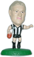 AFL06 Buckley Figure.gif