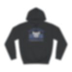 Thumbnail: Adult Unisex Hoodie - Black