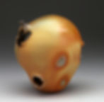 Natural Forms Series