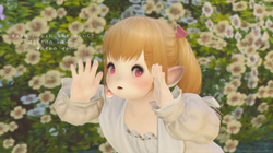 視線の先