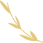 illu 4.png