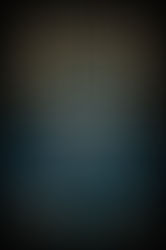 Why You Should Read The Prison Healer