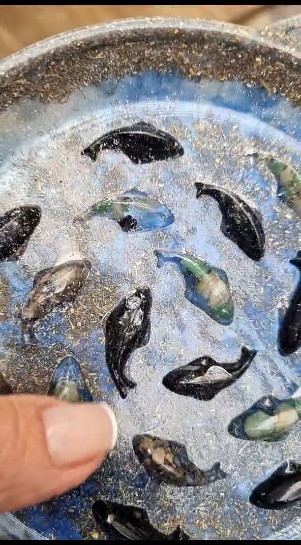 Miniatura: Prato de Orgonite para os PETS - Comedouro Gatinho