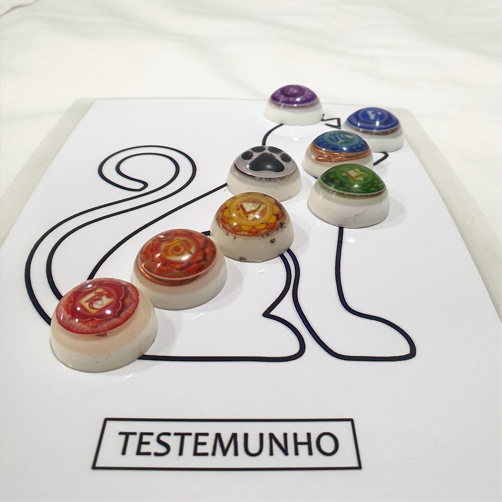 Miniatura: Gráfico A5 Pet para Equilibrio dos Chackras a Distância - KIT 03