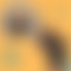 TOTONHO CHAMA JULIETTE PARA UM “ARRASTA-PÉ”