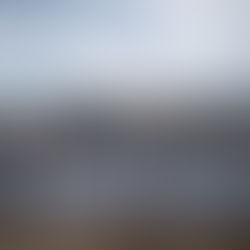 Ecos do além: o Bolsonarismo já é uma página macabra da nossa história