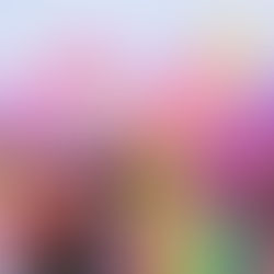 2023, o Carnaval que não acabará...