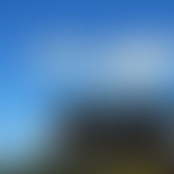 OUÇA O QUE EU DIGO, NÃO OUÇA NINGUÉM...