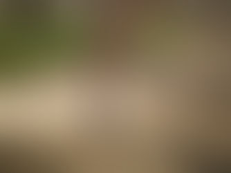 【シンスプリントの痛みで悩んでいた中学生】