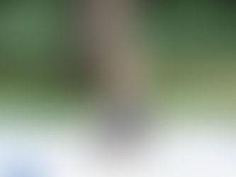 Jack's First Birthday