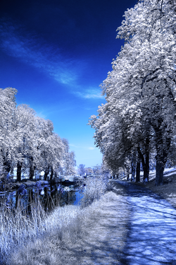 IMG_9803.png