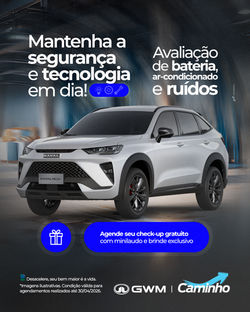 Campanha-Pós-Vendas-Check-up-Inteligente-1080x1350px-GWM-Caminho