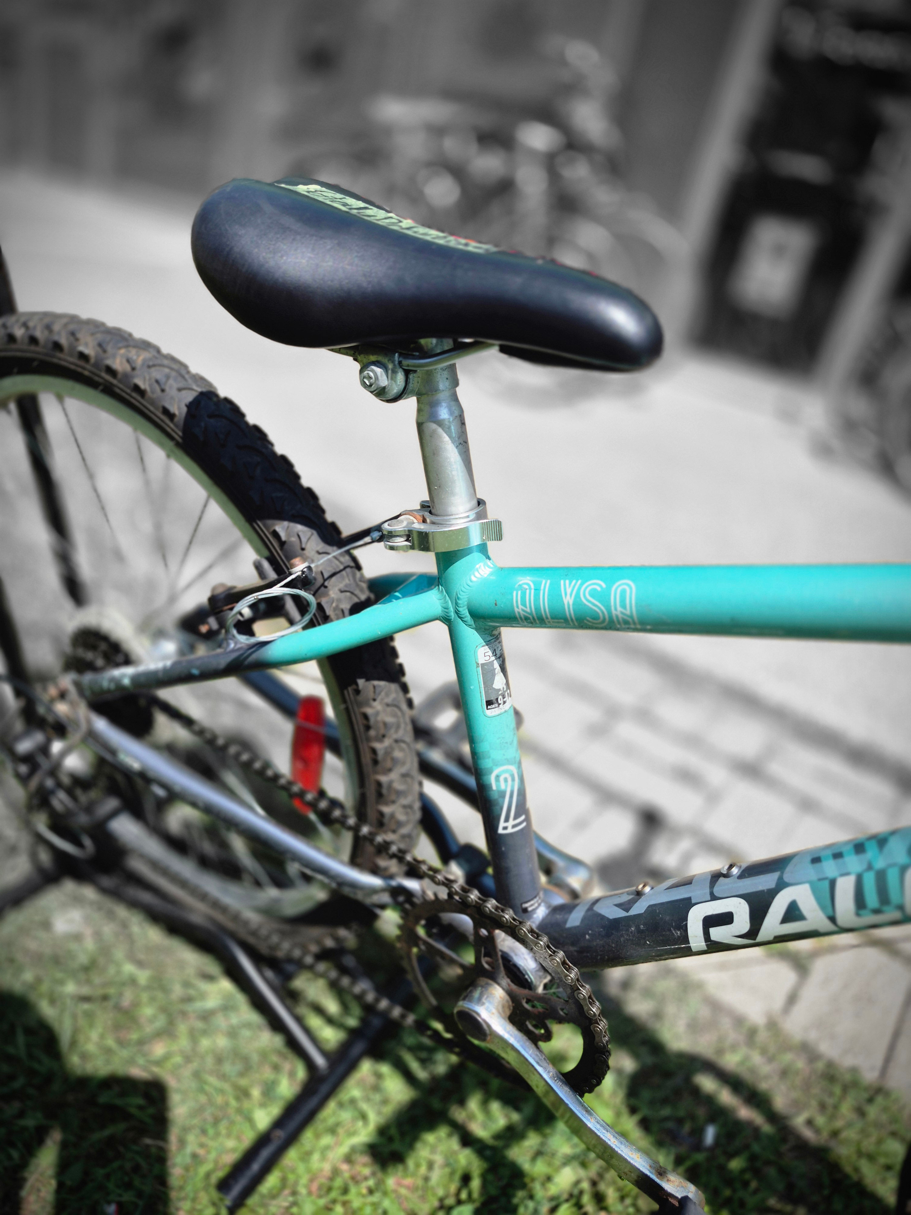 Raleigh Alysa 24"