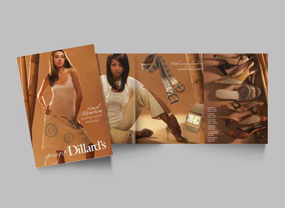 Dillards3FoldMockUp.jpg