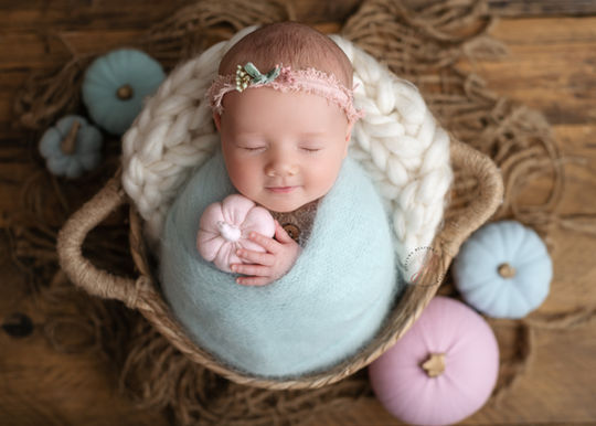 newborn baby girl in a basket holding little pink pumpkin