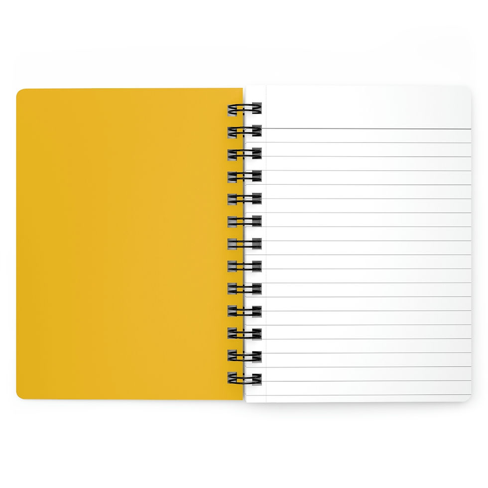 Thumbnail: LizaJaynes - Fragile Like a Bomb Journal