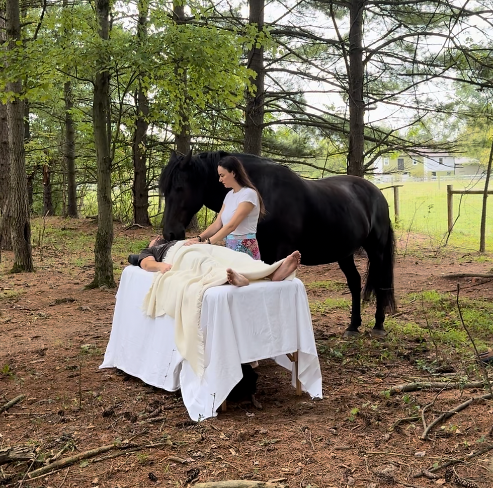 View recent photos (1).jpeg