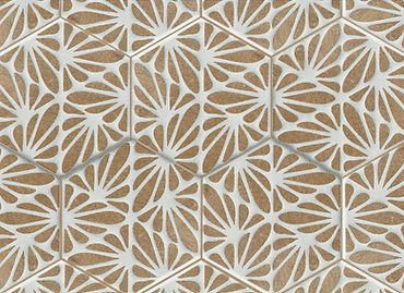 Hexagon Tile_edited.jpg