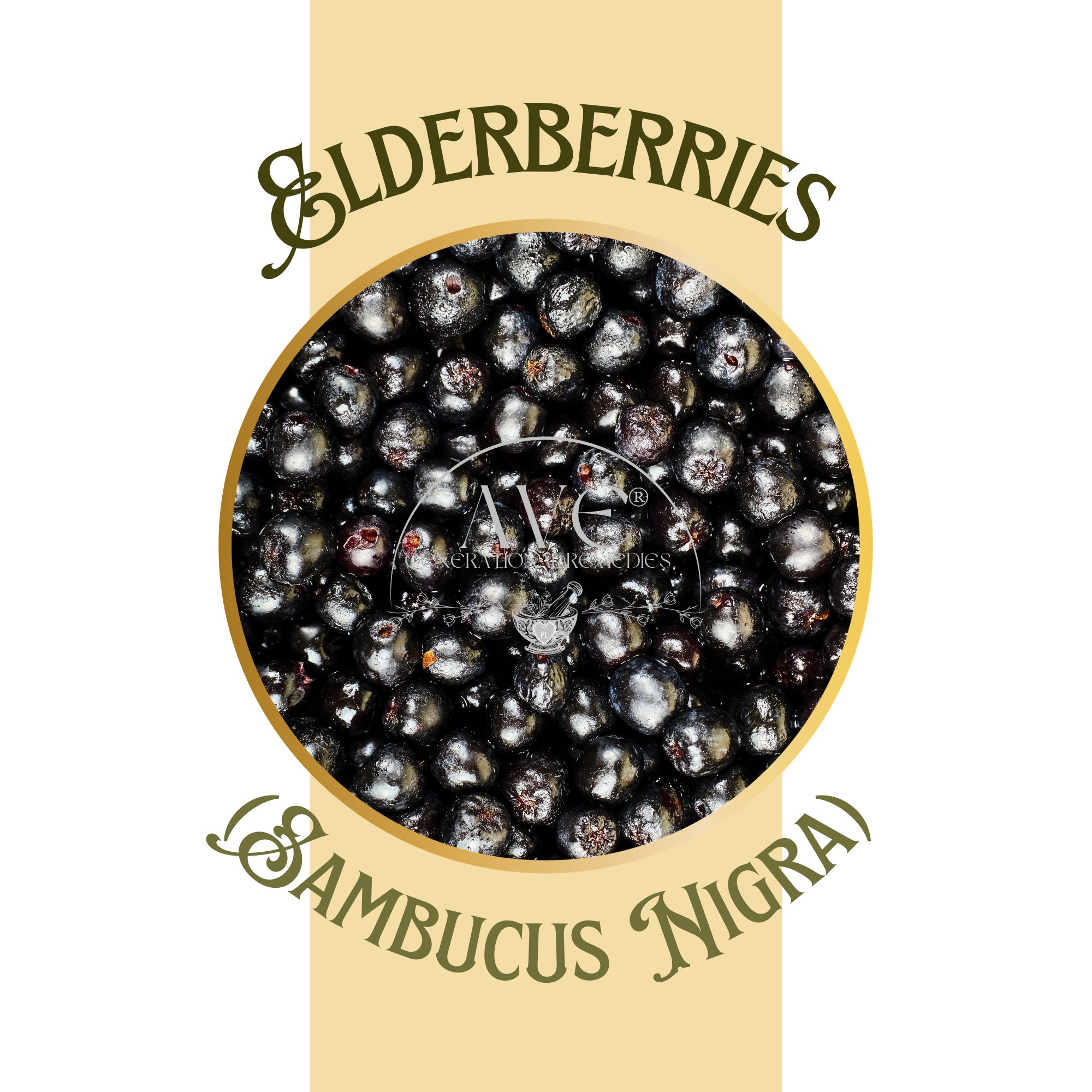 Elderberry | AVE Generational Remedies®