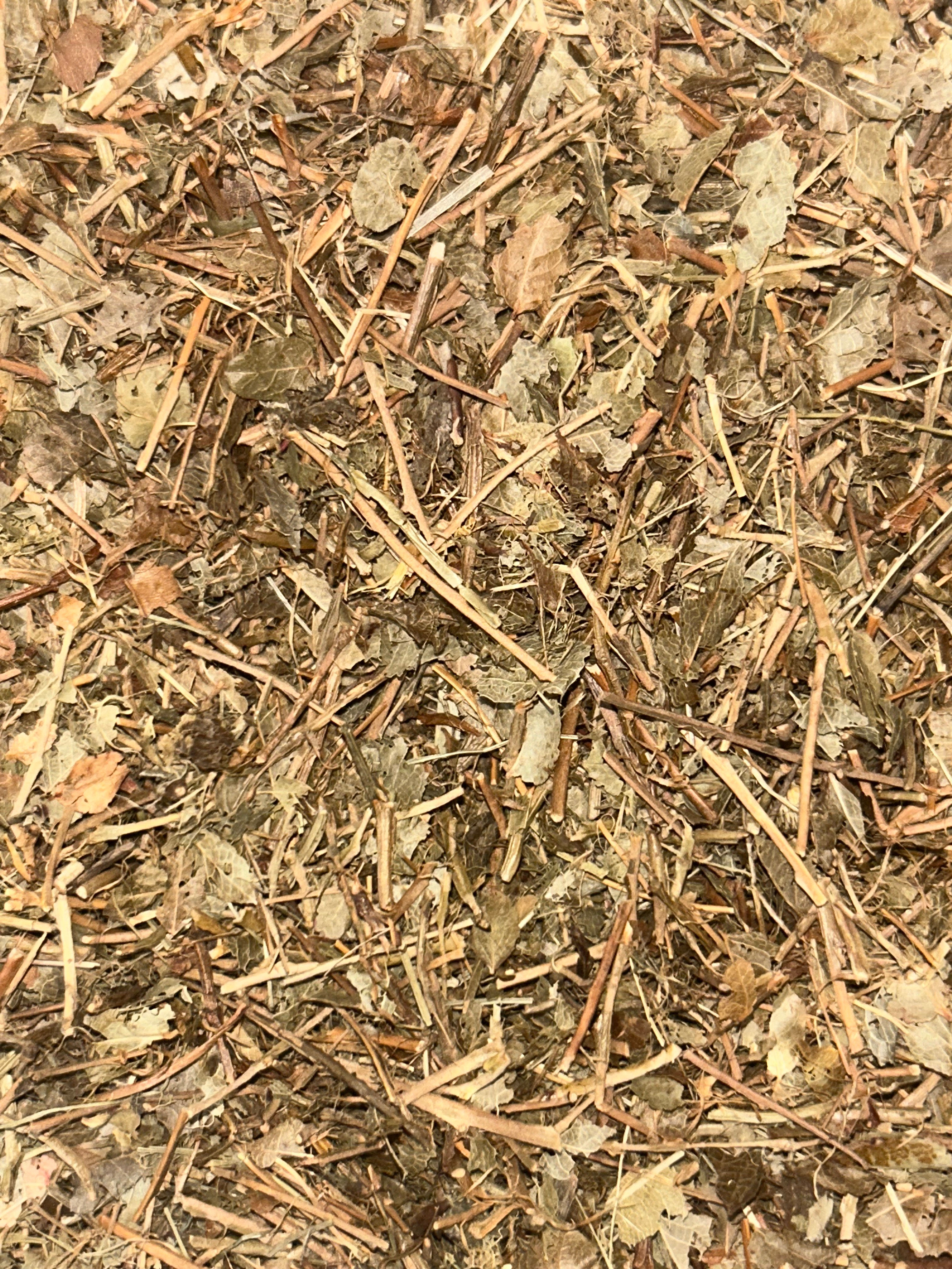 Bilberry Leaf | AVE Generational Remedies ®