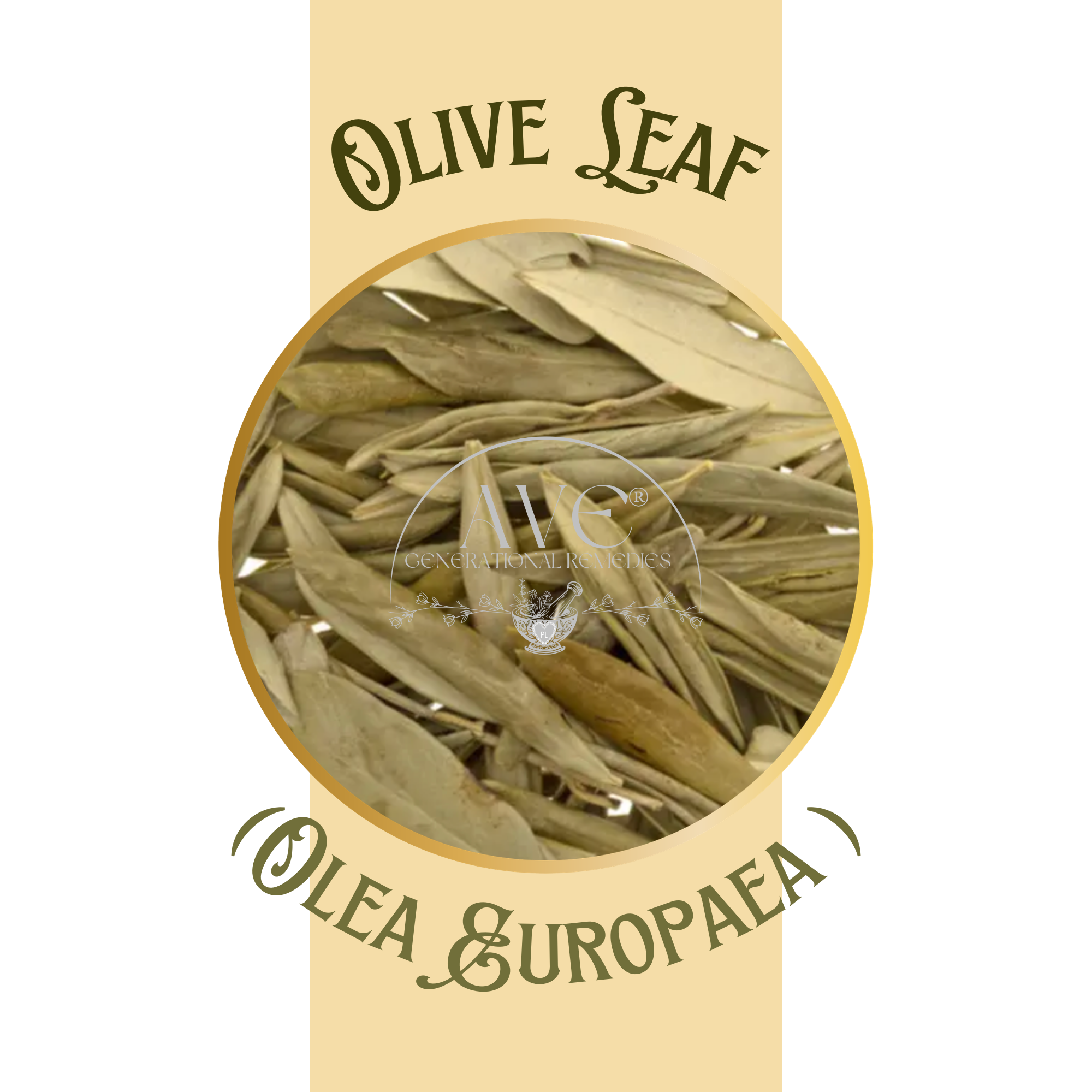 Olive Leaf | AVE Generational Remedies®