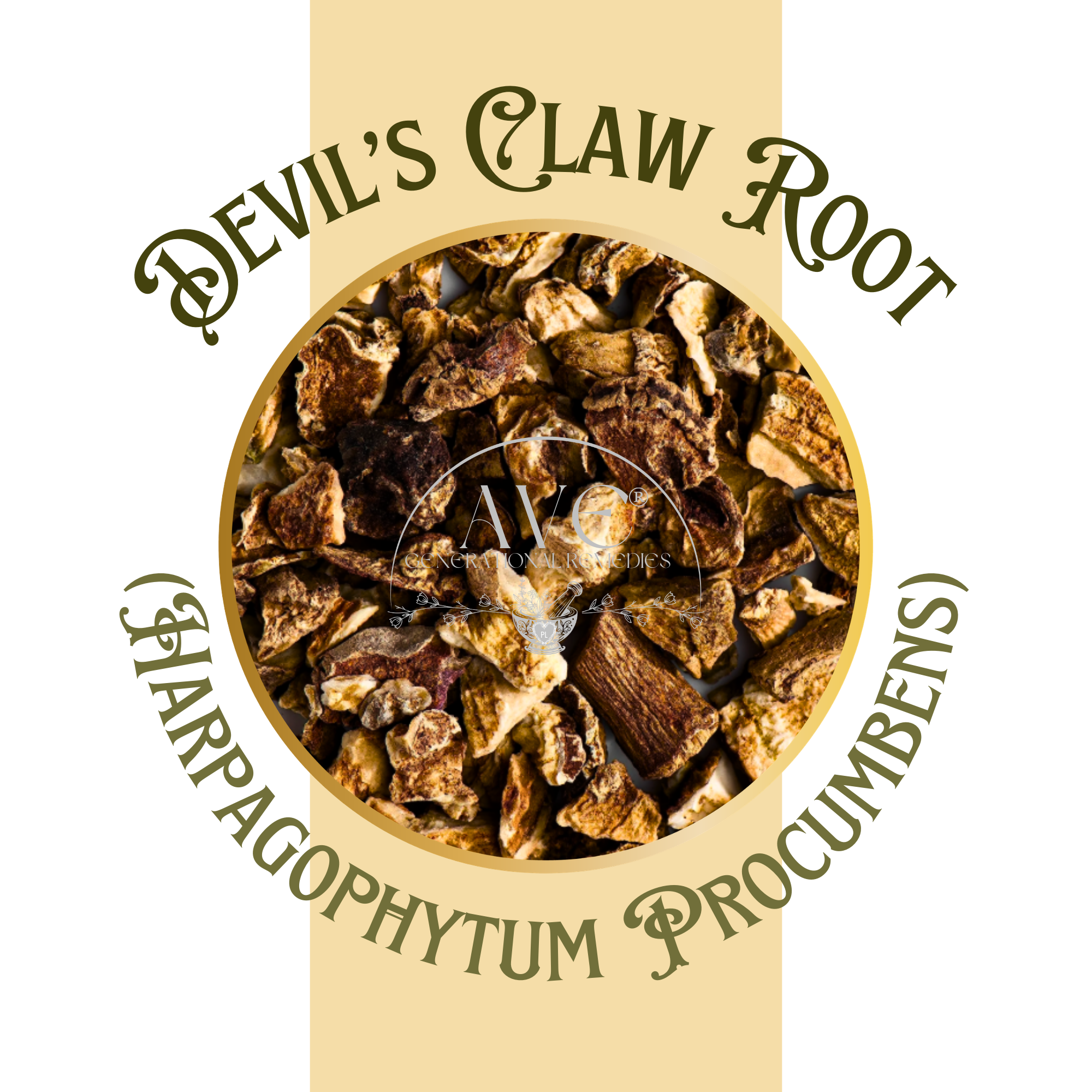 Devil's Claw Root | AVE Generational Remedies®