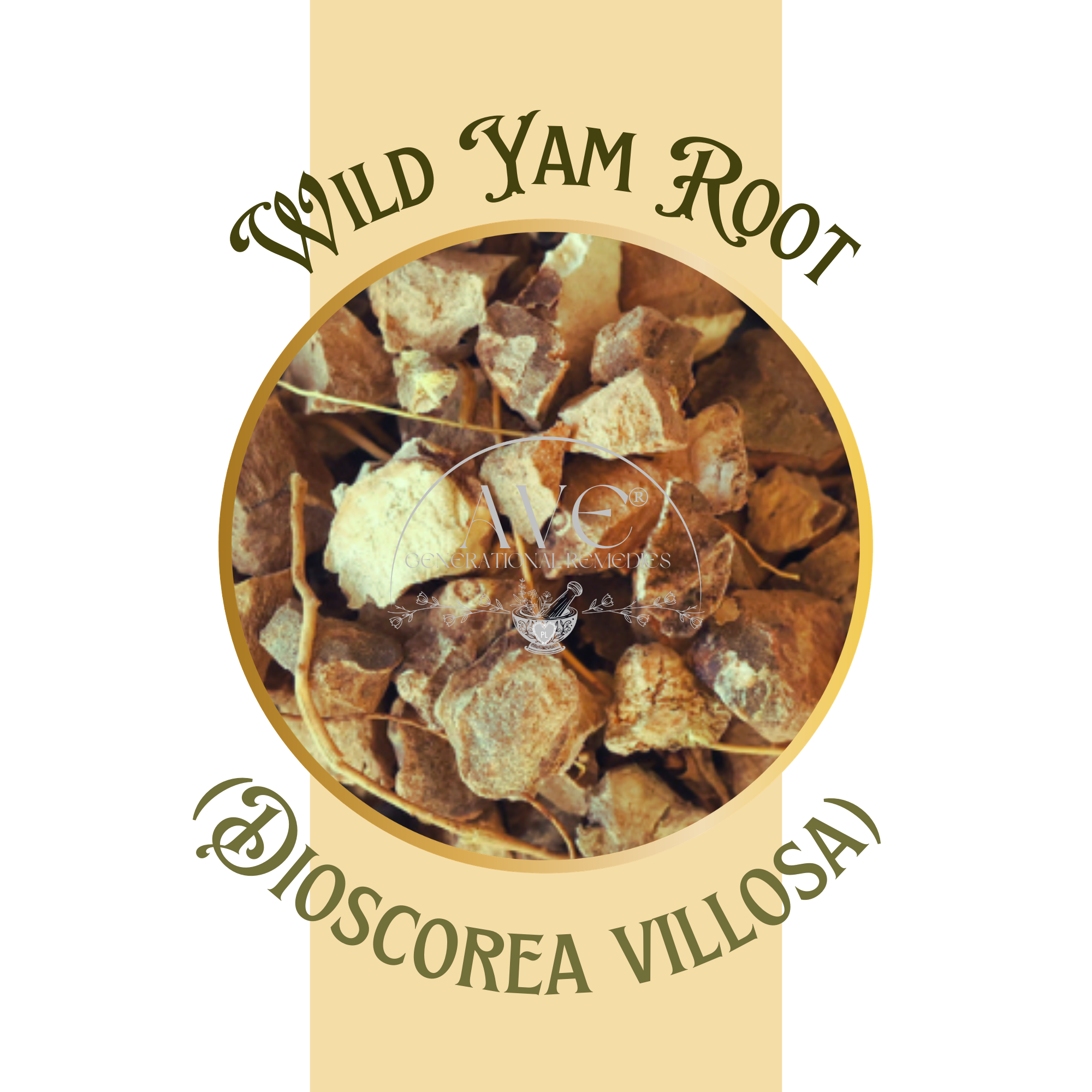 Wild Yam Root | AVE Generational Remedies®