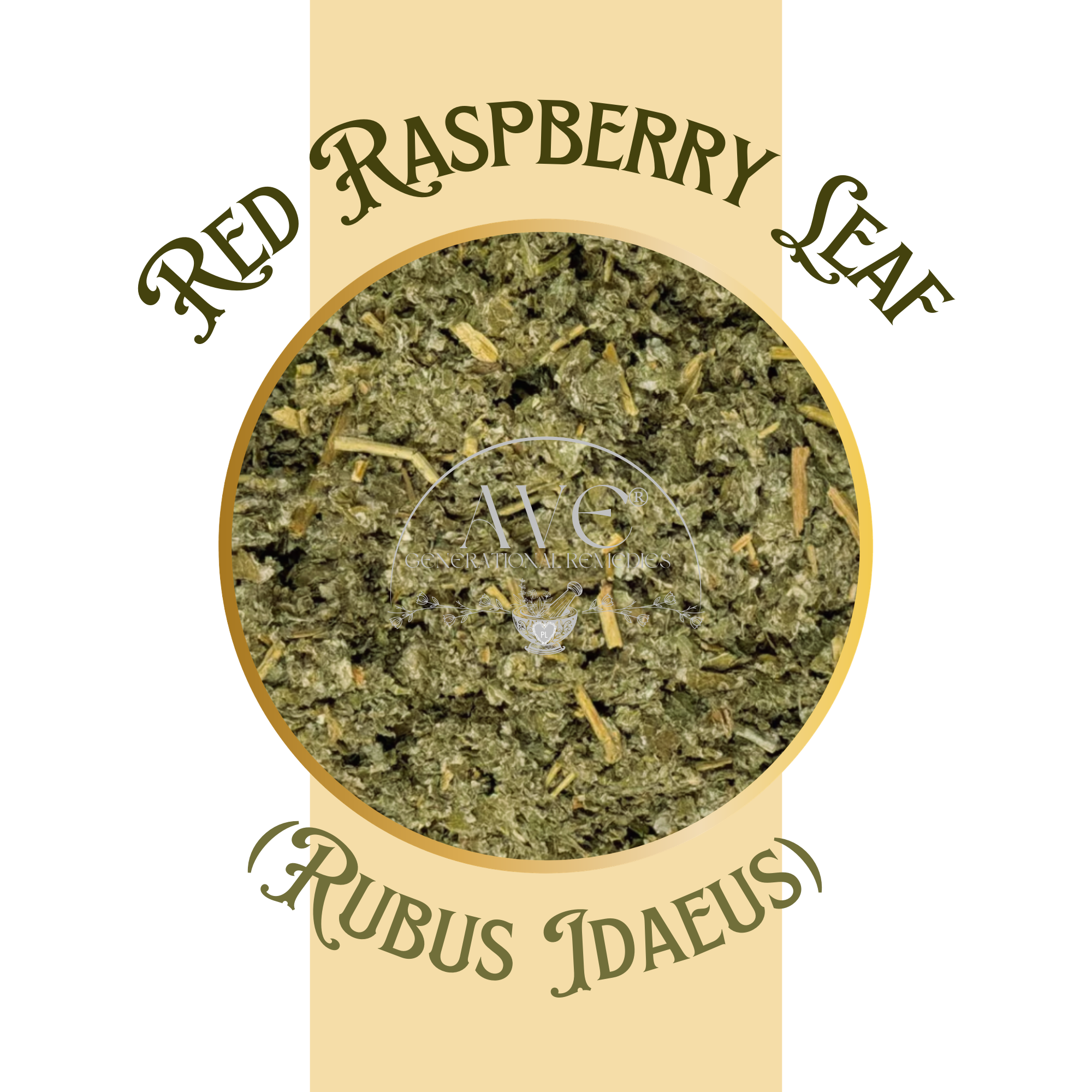 Red Raspberry | AVE Generational Remedies®