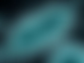 Understanding H. pylori: Causes, Symptoms & Holistic Digestive Support