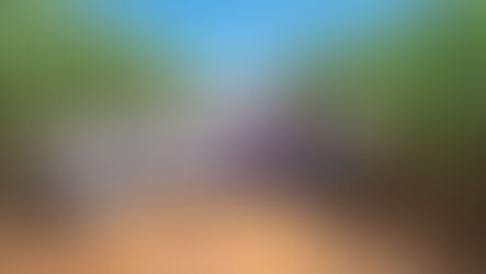 Dia de campo na Subestação Alto Alegre - PMGCA/UFPR - 22/03/2023