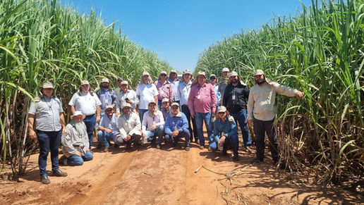Dia de campo na Subestação Alto Alegre - PMGCA/UFPR - 22/03/2023