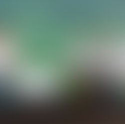 RIDESA/UFPR participa do 4º Dia de Campo de Variedades RB promovido pela RIDESA/UFSCar