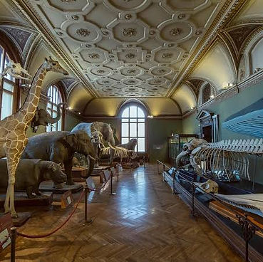 Natural History Museum