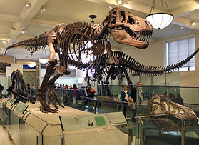 Smart Museum