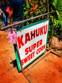 Picasa - Kahuku Corn Market