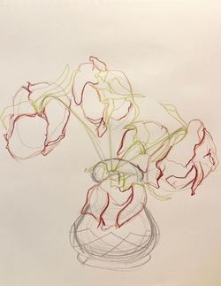 Drawing & Painting Adult Workshop