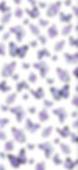 website bg 2.jpg